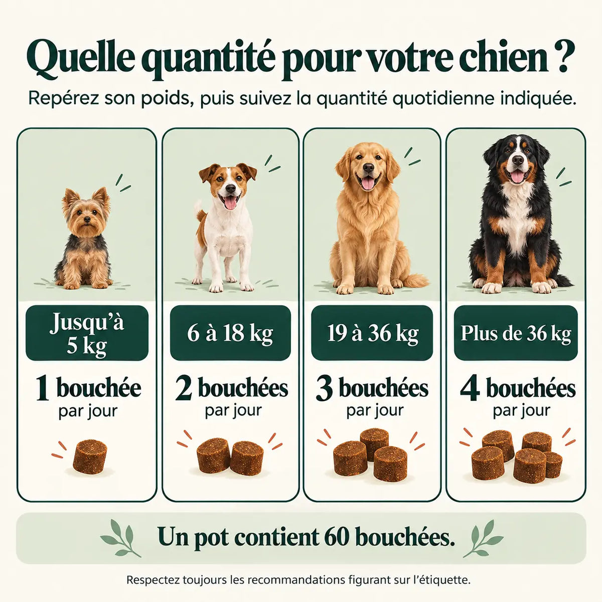 Canévia Mobilité – Bouchées pour le confort articulaire du chien