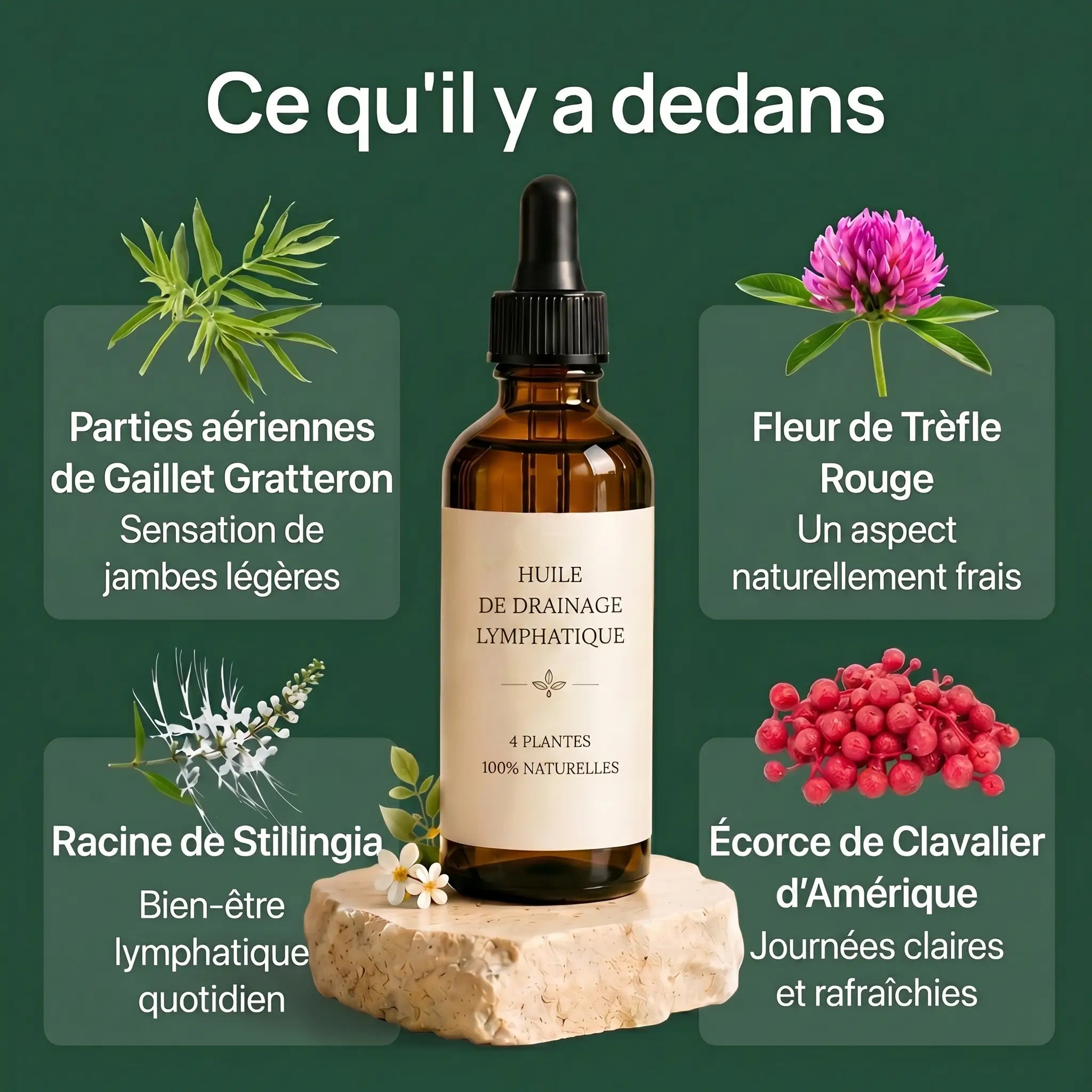 Drainant Lymphatique BelGlow — Complexe Lympha-4